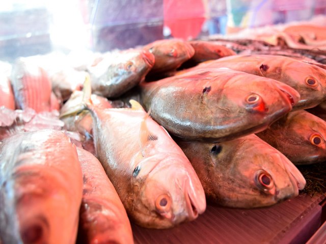 Operao Semana Santa fiscaliza pescado em 23 estados e no DF