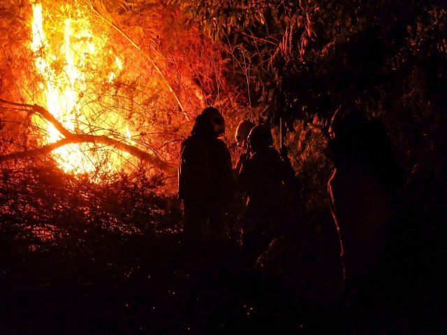 Governo reforça em mais de 80% efetivo dos bombeiros no combate às queimadas e na prevenção de incêndios florestais no Acre