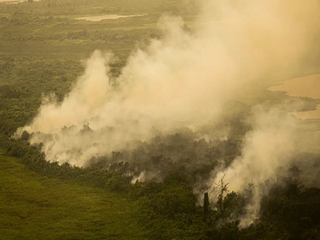 Governo Federal amplia fora-tarefa para combate a incndios no Pantanal
