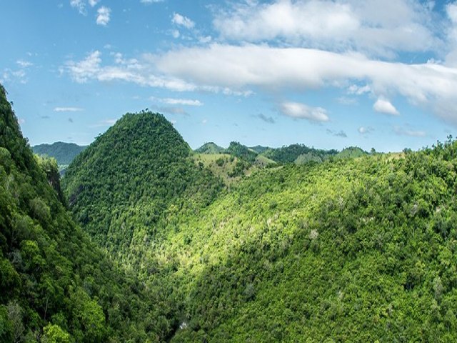 BNDES e iNovaland destinam at R$ 17 mi para projetos de restaurao ecolgica da Mata Atlntica