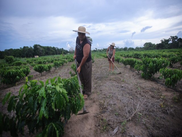 Programa nacional de crdito fundirio garante R$ 4,8 milhes de investimentos na agricultura familiar