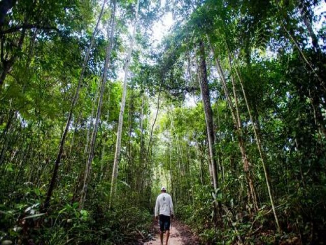 Cmara dos Deputados aprova projeto que regulamenta produo de hidrognio verde