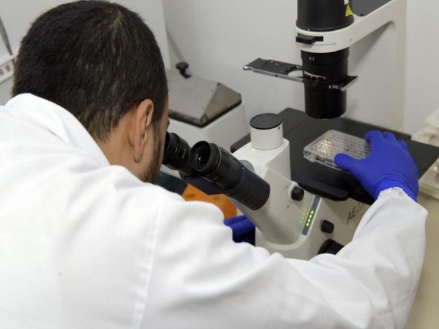 UFMG desenvolve tratamento promissor contra cncer de intestino