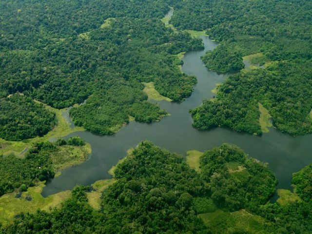 CMA analisa uso de arrecadao do petrleo para proteo da Amaznia