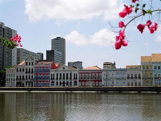 Foto: arquivos/7386/galeria/118177367/201212191000299.jpg