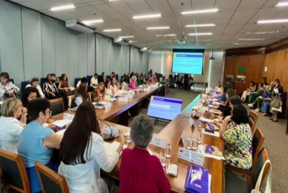 Imagem da Not&iacute;cia DF apresenta avan�os nas pol�ticas para as mulheres em reuni�o nacional com gestoras estaduais