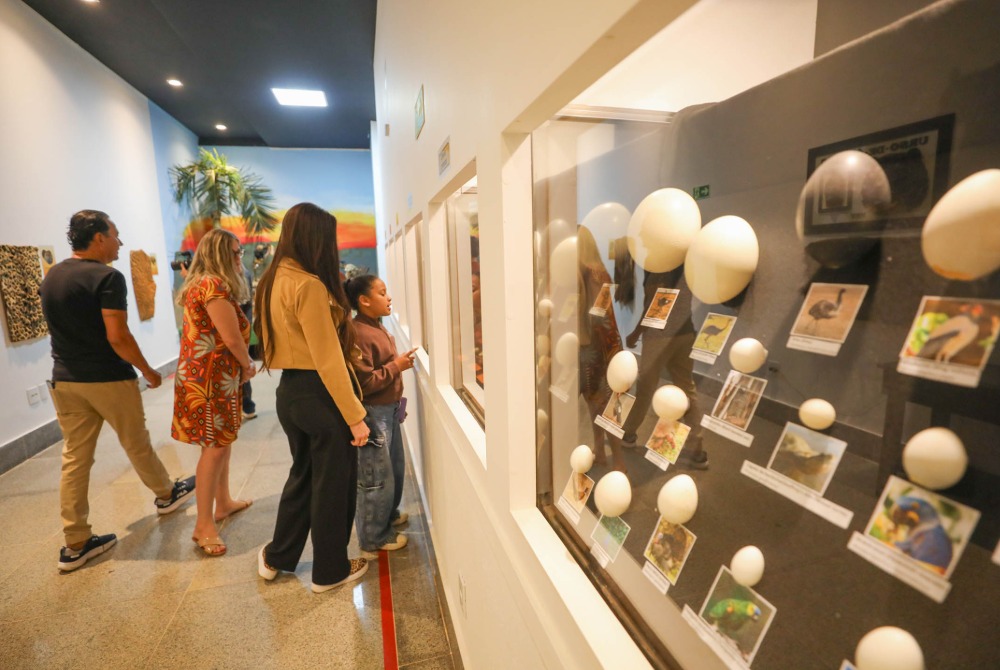 Museu de Ci�ncias Naturais do Zool�gico de Bras�lia � reaberto ap�s reforma