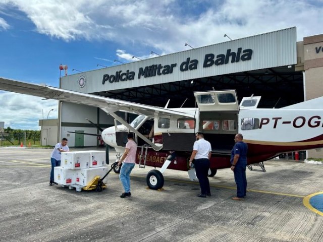 Bahia zera estoque de vacinas contra dengue com validade at 30 de abril