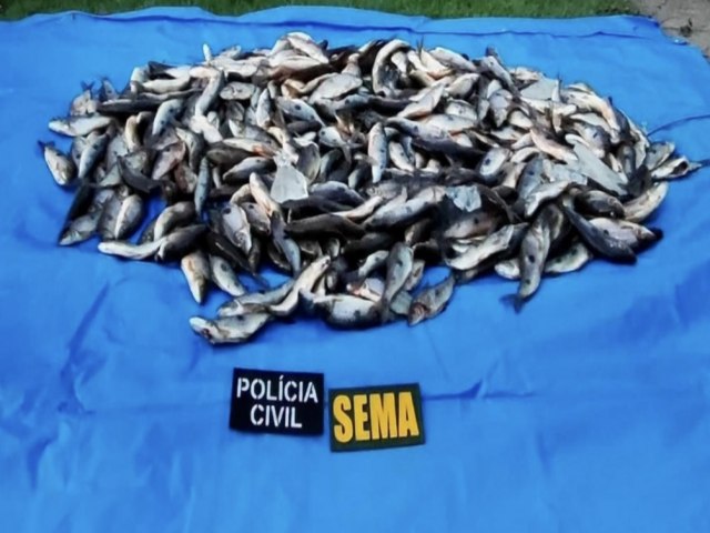 Sema apreende 220 quilos de peixes em operao contra pesca ilegal em Guarant do Norte