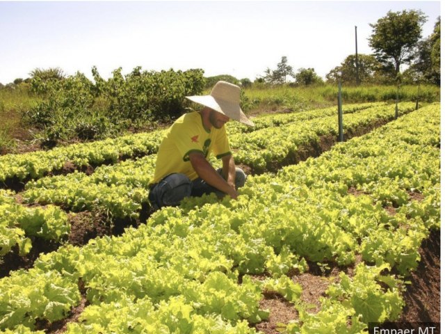 Sefaz reduz tempo para liberao de inscrio estadual de micro e produtores rurais