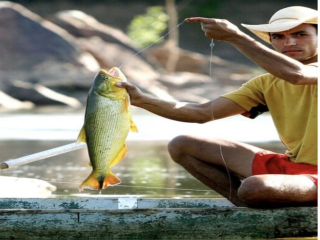 Assembleia aprova em 2 votao liberao da pesca de 100 espcies em Mato Grosso