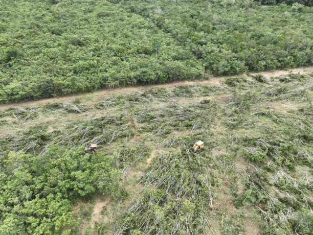 Sema e PM flagram desmatamento ilegal com apoio de drones e tecnologia de geoprocessamento