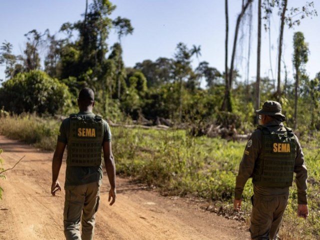 Operaes ambientais resultaram na aplicao de R$ 2,3 milhes por crimes ambientais no primeiro bimestre