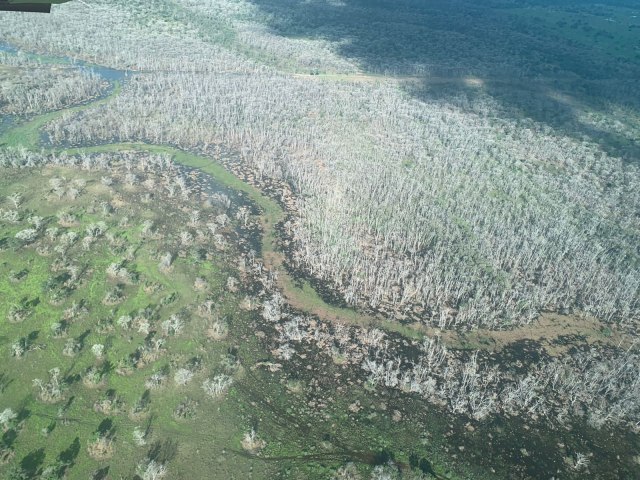 Operao Cordilheira sequestra propriedades e aplica multa de R$ 2,8 bilhes por desmate qumico no Pantanal