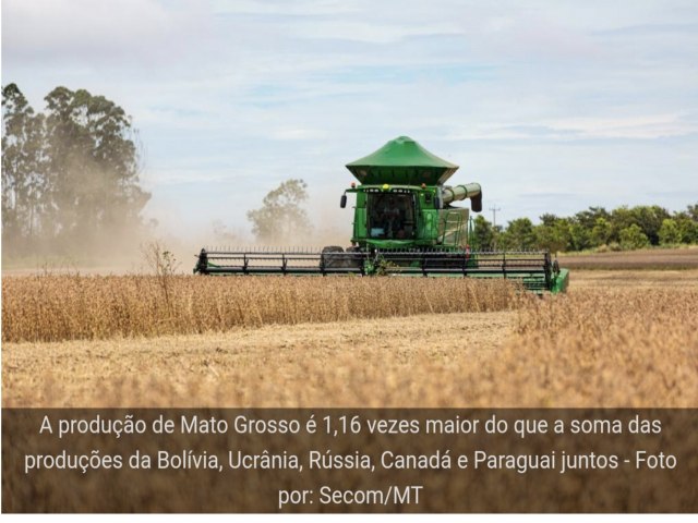 Mato Grosso se mantm como maior produtor de gros do pas em 2024