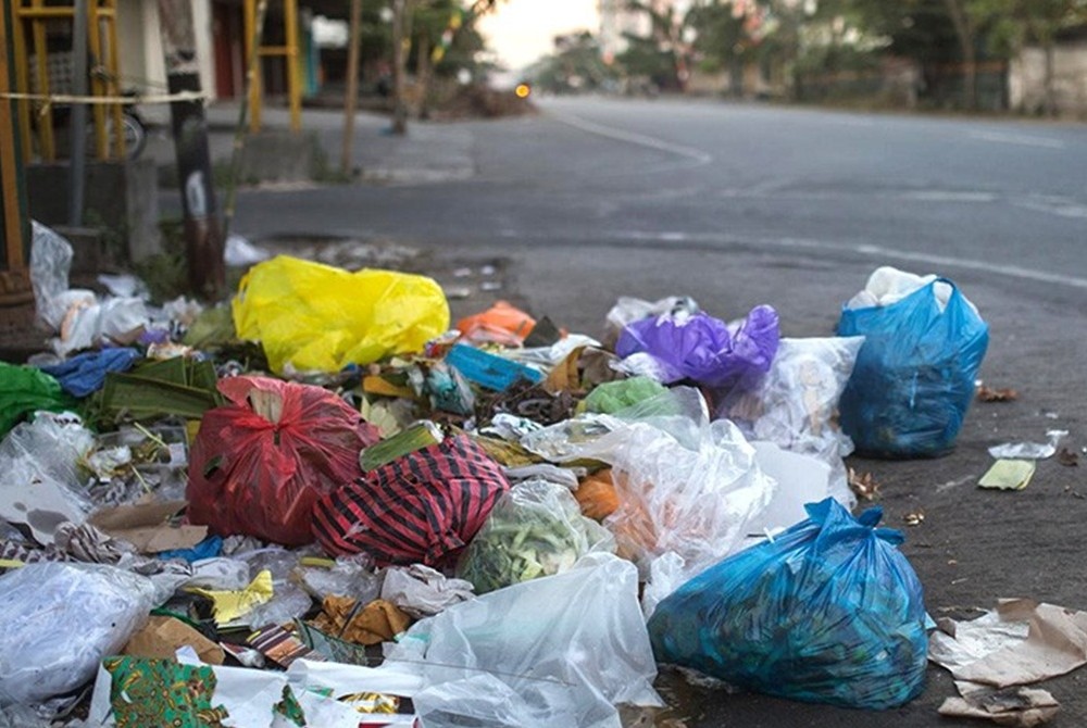 Meio Ambiente: C�mara aprova multa para descarte de lixo em vias p�blicas