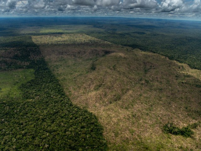 Reino Unido sinaliza ingressar no Fundo Amaznia aps reativao do financiamento