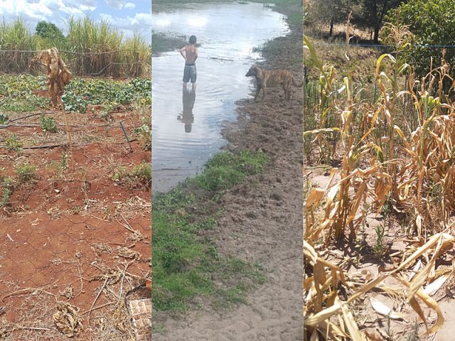Agricultura familiar e camponesa sofre com a falta de chuva no RS