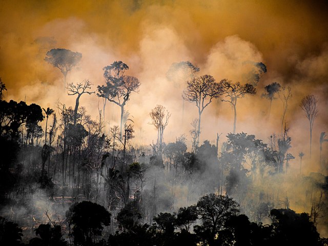 Com Bolsonaro, desmatamento na Amaznia cresce 150%, pior marca j registrada pelo Imazon