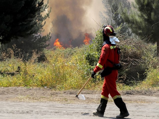 Brasil envia avio militar e brigadistas para combater incndio florestal no Chile