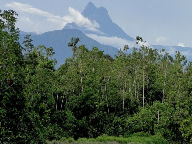 Pico da Neblina vira destino de garimpeiros fugidos de Roraima, alertam lideranas Yanomami