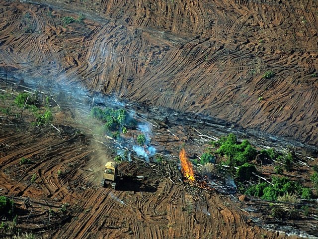 Relatrio expe estrago na poltica ambiental sob Bolsonaro
