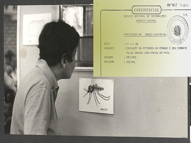 Brasil tenta erradicar a dengue, mais uma vez; voc sabia que o pas j conseguiu isso antes?
