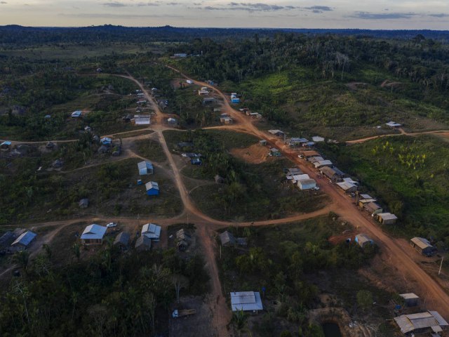 No Xingu, 200 rvores foram derrubadas por minuto no governo Bolsonaro, diz estudo