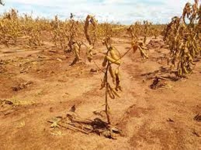 Governo federal anuncia desconto de 25% nas dvidas de agricultores atingidos pela estiagem no RS