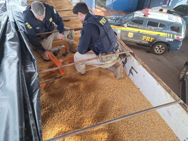 PRF apreende carreta com1,4 tonelada de maconha escondida no meio de carga de milho
