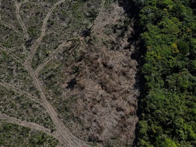 Amaznia: desmatamento em 2023 tem a menor taxa em 9 anos, aponta Imazon