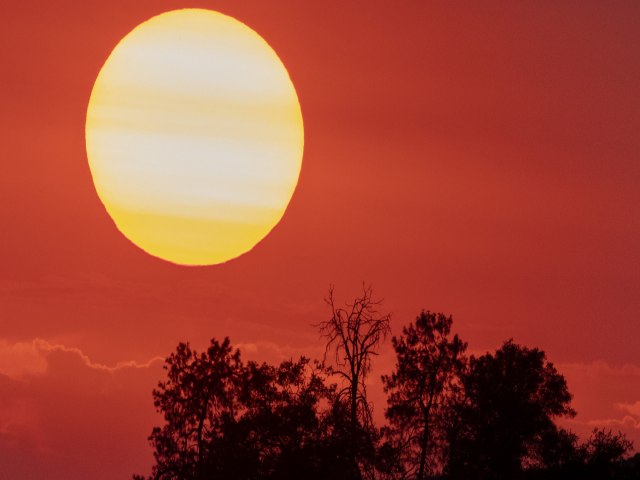 2024 comea com recorde: Janeiro  o 8 ms mais quente da histria