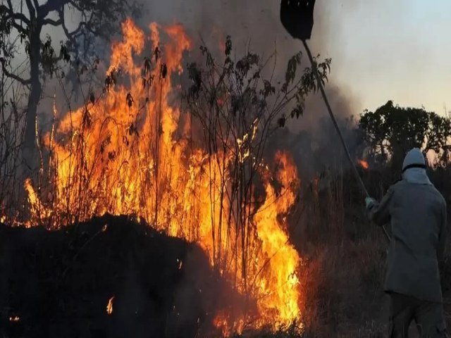 Amaznia bate recorde de queimadas em fevereiro