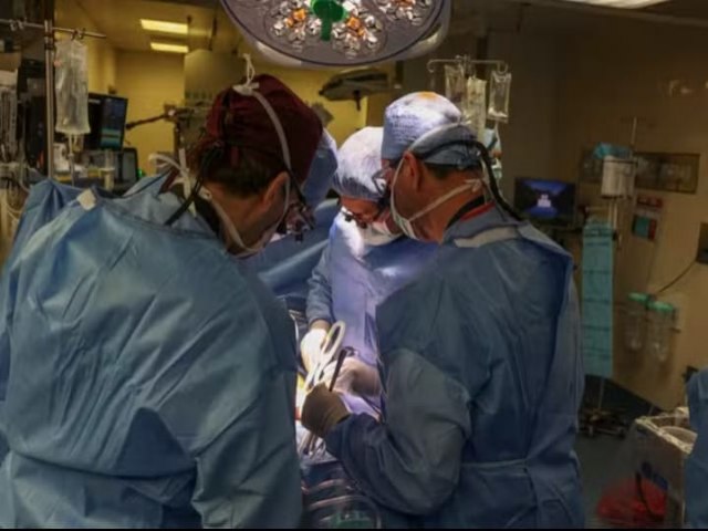 Primeiro paciente a receber rim de porco morre 2 meses aps cirurgia.