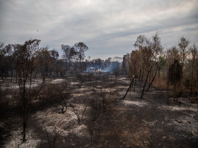 Governo envia helicpteros e avies militares para auxiliar no combate ao fogo no pantanal