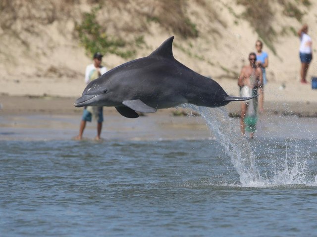 UFRGS inaugura exposio sobre pesca cooperativa entre botos e pescadores na Barra do Tramanda