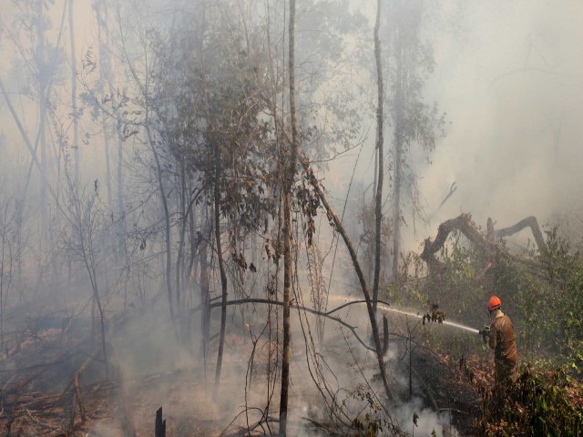 Fumaa da amaznia e do pantanal j atinge 10 estados e gera alerta