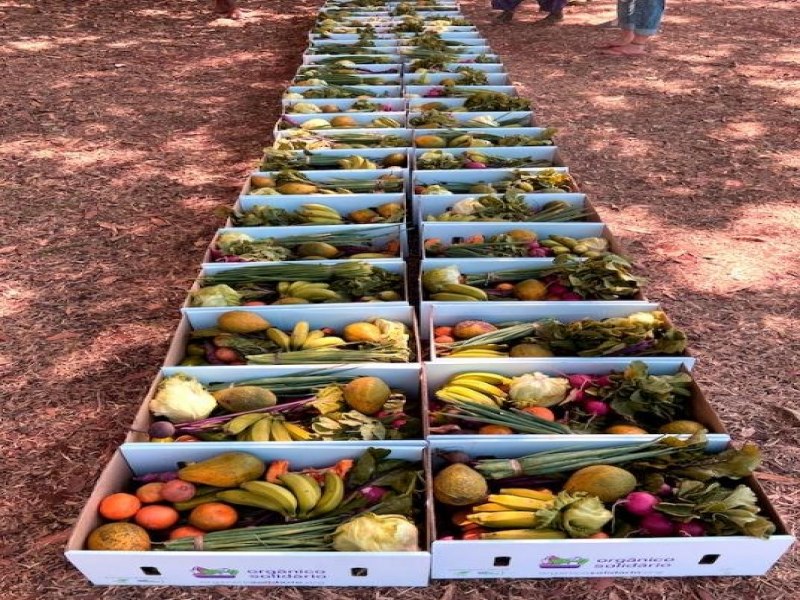 A ONG que chega ao RS para comprar e doar toneladas de alimentos orgnicos