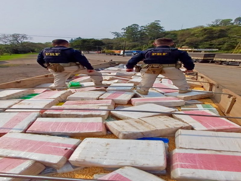 PRF apreende 5 toneladas de maconha e skunk em carreta em Ira