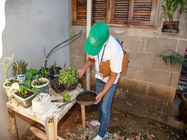 Ubatuba refora cuidados de combate ao mosquito aedes por conta dos perodos de chuva