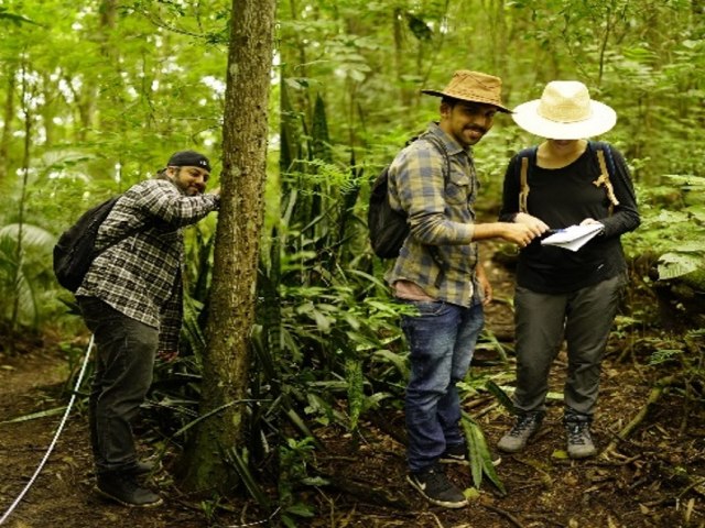 Pinda: Parque da Cidade  laboratrio vivo para pesquisa cientfica de espcies invasoras em biomas nativos