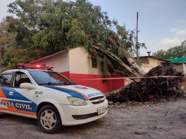 Ventos fortes derrubam rvores em Pindamonhangaba