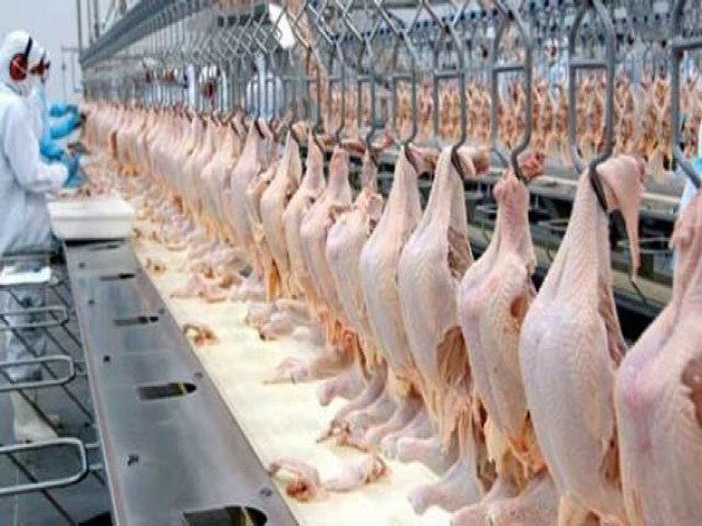 Exportaes de frango crescem 15% em outubro