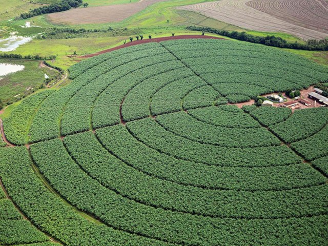 ndice de Confiana do Agronegcio tem melhor resultado trimestral