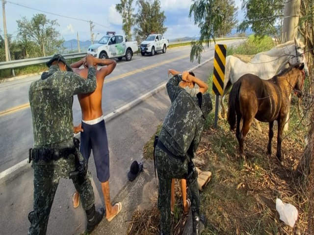 Atividade Delegada da Polcia Ambiental efetua priso aps furto de cavalos em Pinda