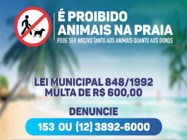 Prefeitura de So Sebastio vai intensificar fiscalizao para impedir animais domsticos nas praias