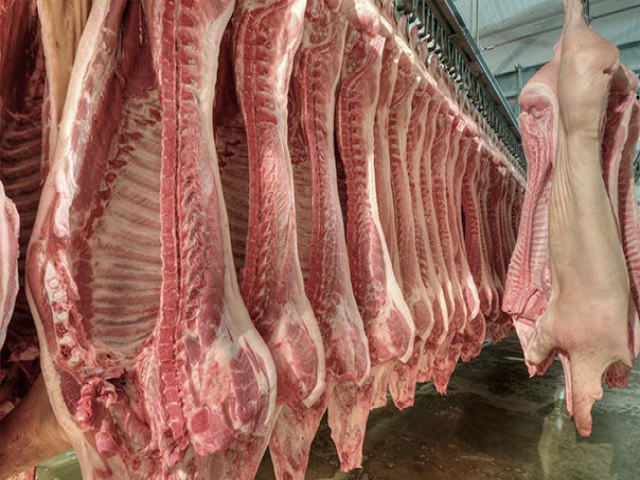 Exportaes de carne suna crescem 17,8%