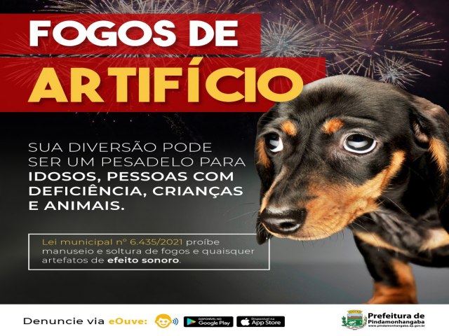 Prefeitura de Pinda alerta sobre prejuzos causados por fogos de artifcios e lana campanha de conscientizao