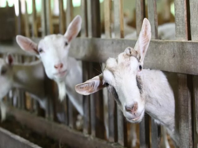 So Jos dos Campos conquista certificao como Municpio Agro