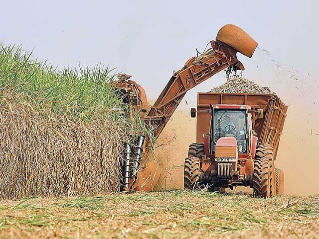 Produo de cana-de-acar cresce 4,4% e pode chegar a 598,3 milhes de toneladas na safra 2022/23